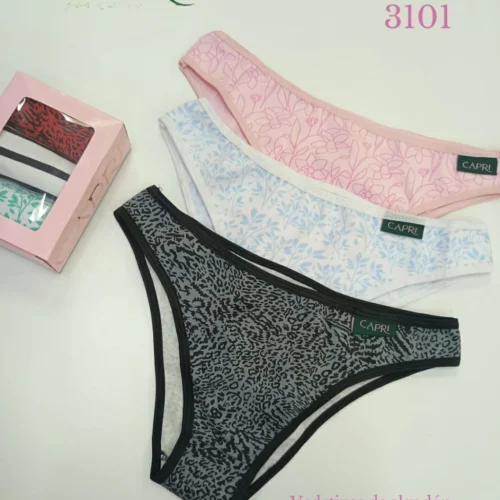 CAPRI 3101
