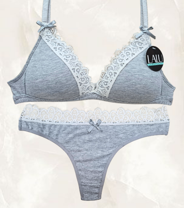 Lalu2102gris LALU 2102