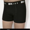BK 3019