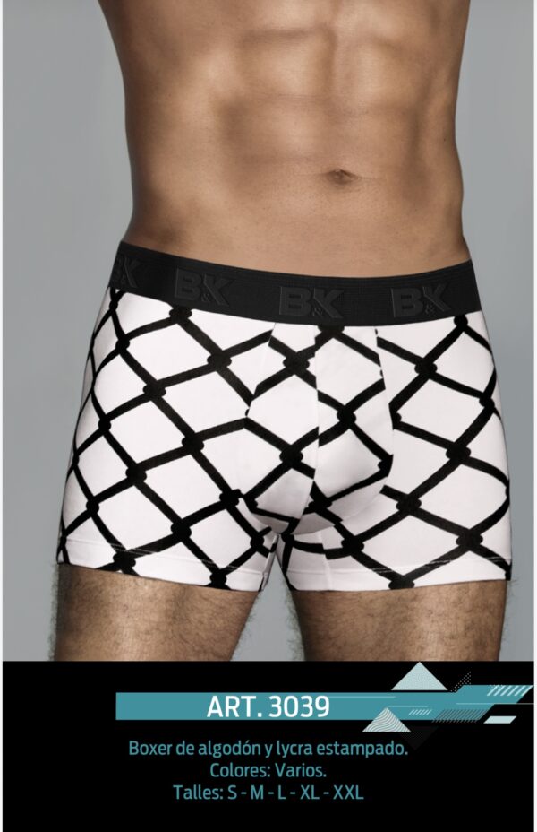 BK 3039